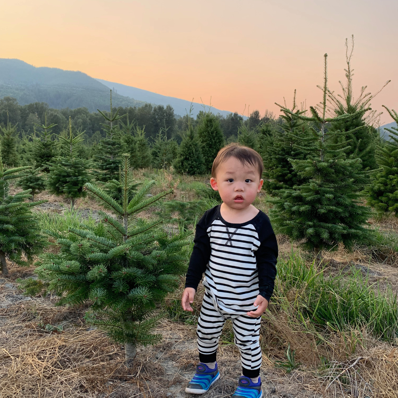 The Everyday Skinny Joggers