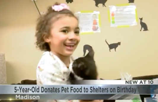 5 Year old donates pet food to shelters on her birthday